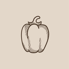 Bell pepper sketch icon.