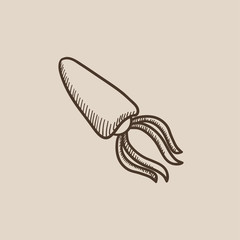 Squid sketch icon.