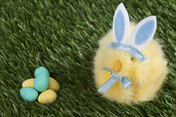 blue bunny staring at the easter eggs