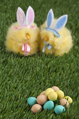 bunnies staring the easter eggs