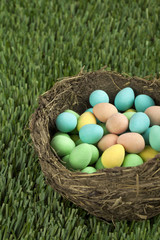 colorful easter eggs on the nest