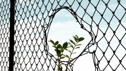 Breaking through challenges