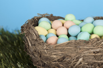 colorful eggs in bird nest