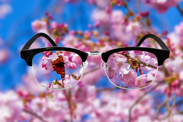 Cherry blossom,  Optic health care concept. Medical optics conce