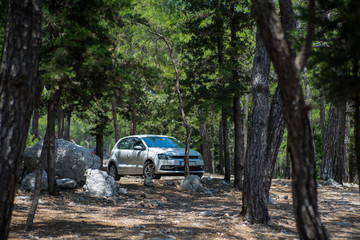 White Car Cooling down in Pinewoods in Summer