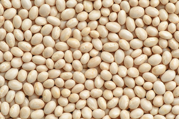 White bean background