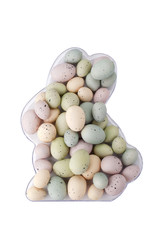colorful easter eggs in rabbit tray shape
