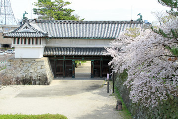 桜の佐賀城鯱の門