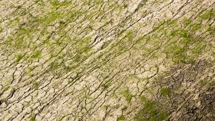 soil and grass during drought