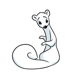 White ermine cartoon illustration isolated image animal character