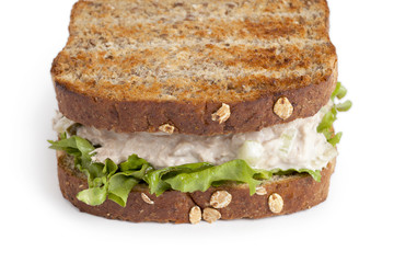 toasted sandwich