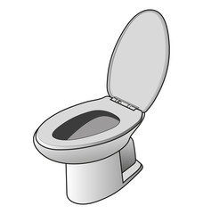 White toilet bowl