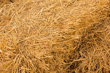 Piles of straw, detail of piled straw for animal feed