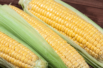 Ripe corn on wooden background. Macro