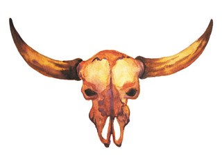 sugar skull day of the dead illustrations design, bull skull