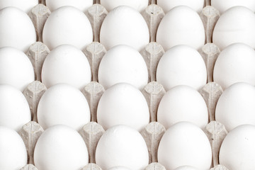 eggs in packing on a white background