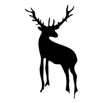 Deer isolated on white backgroun. Vector illustration
