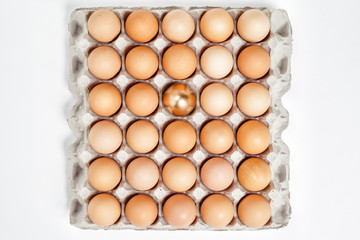 golden egg in a row of the brown eggs