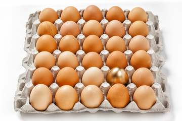 golden egg in a row of the brown eggs