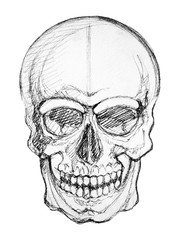 human skull skeleton hand line drawing, abstract art, halloween