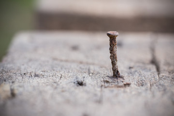 Rusted nails on old wooden
