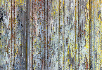 Obraz premium Old wood background