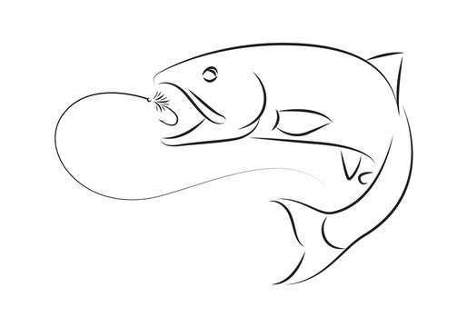 illustration fishing, vector