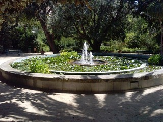 Fototapeta premium Orto botanico di Cagliari