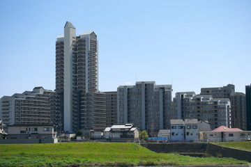 Obraz premium Green grass in big cities