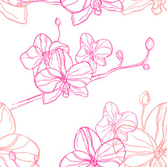 Plakat Abstract Seamless Pattern with pink orchids flower on White Back