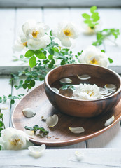 spa concept