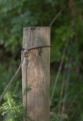 Lonely wooden post with wire in the shade