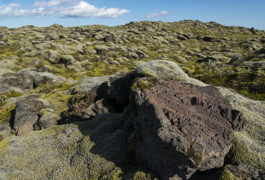 Landscape with lava rock and lava field covered with moss on a background, Iceland