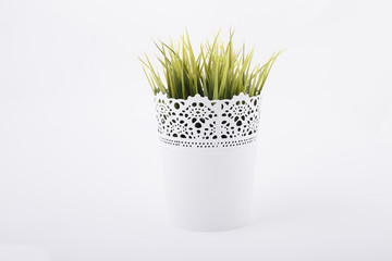 White pot with houseplant