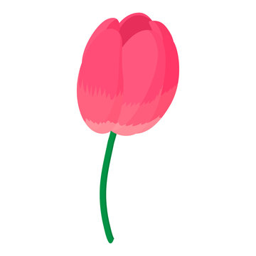 Pink Tulip Icon, Cartoon Style 