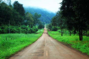 country road in the morning