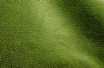 Abstract green leather texture.