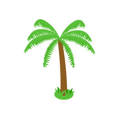 Obraz premium Palm tropical tree icon, isometric 3d style
