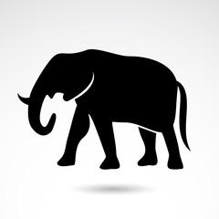 Elephant vector icon.