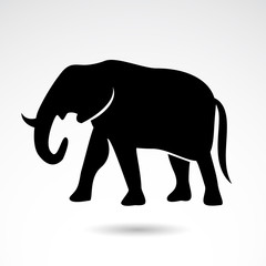 Fototapeta premium Elephant vector icon.