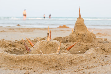 Shell Sand castles on the beach