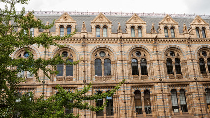 Fototapeta na wymiar Natural History Museum in London- building and details
