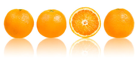 orange slice composition set in line isolated on white