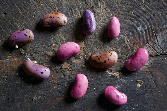Harvested runner bean seeds, spaced out on a wooden surface, drying over winter. 