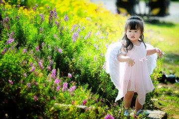 Little fairy in flower field