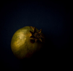 Pomegranate Still Life. Impressionistic Shot 
