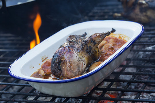 An outdoor cookout, a game bird in a pan braising with vegetables. 