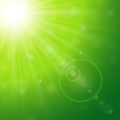 
Green natural background with summer sun and lens flare