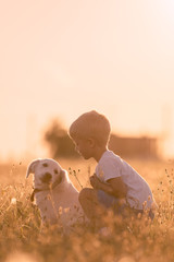 Young Child Boy Training Golden Retriever Puppy Dog in Meadow on Sunny Day