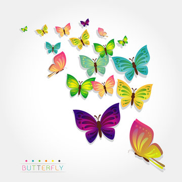 Colorful butterfly design